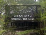 白州12年が、開けられない