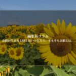 余韻が生まれる時とはいつだろう。そもそも余韻とは。